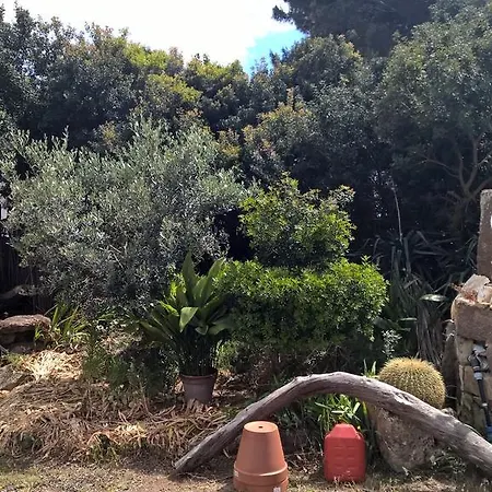 The Pineta Villa SantʼAntìoco