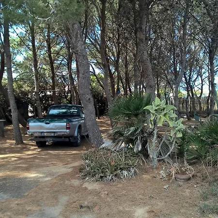Villa The Pineta