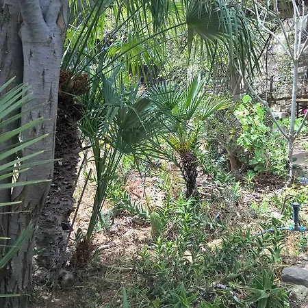 The Pineta Villa SantʼAntìoco